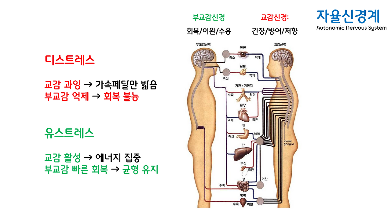 1편_스트레스 _11.png