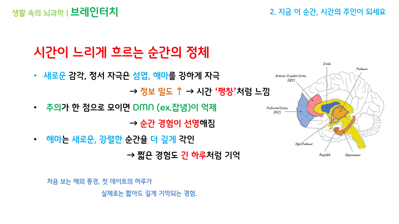 브레인터치_1강(1-3)_브런치용_10.png