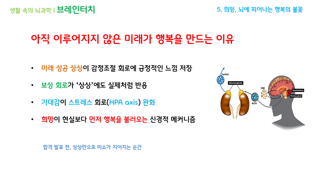 브레인터치_2강(4-6)_브런치용_9.png
