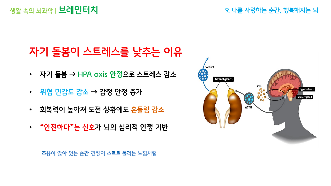 브레인터치_3강(7-9)_브런치용_15.png