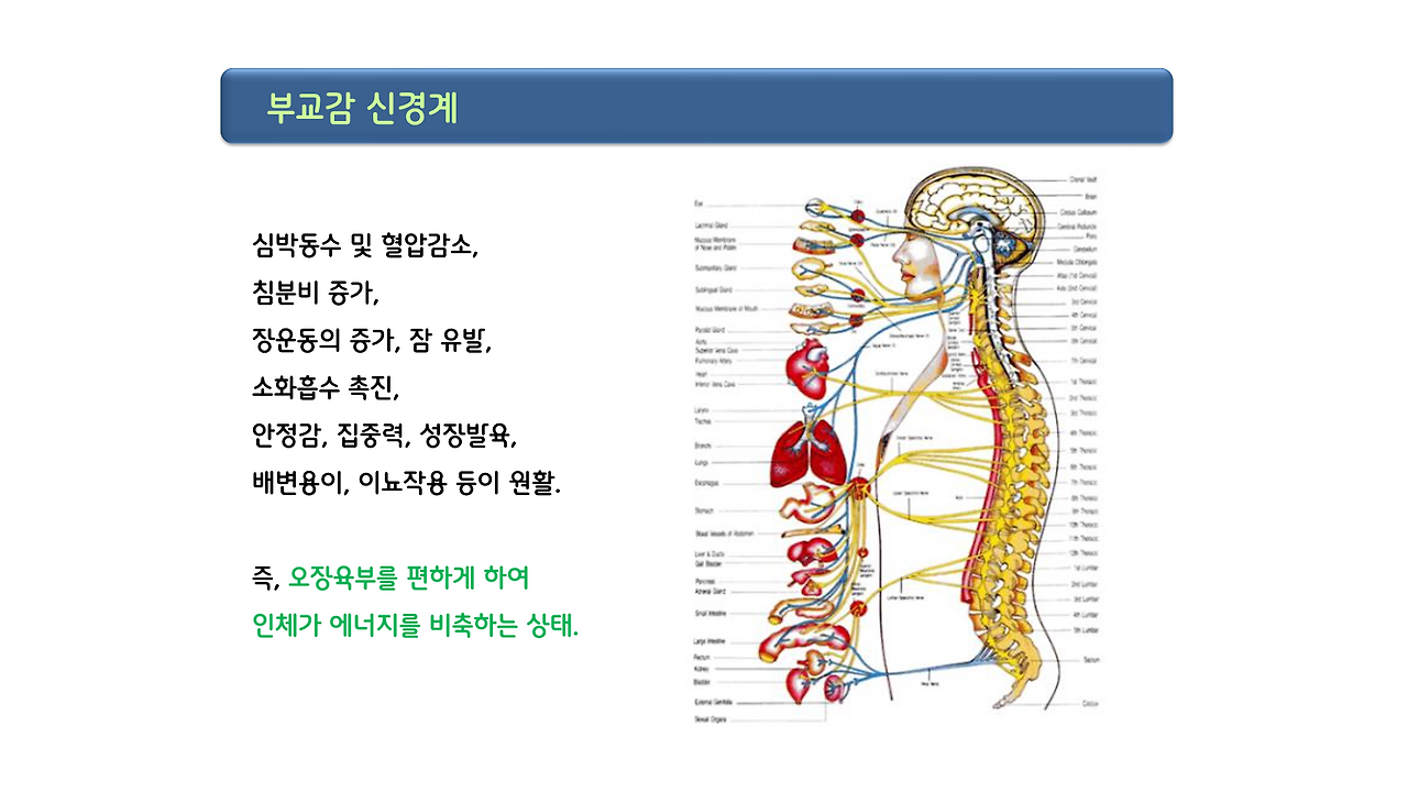 1편_스트레스 _13.png