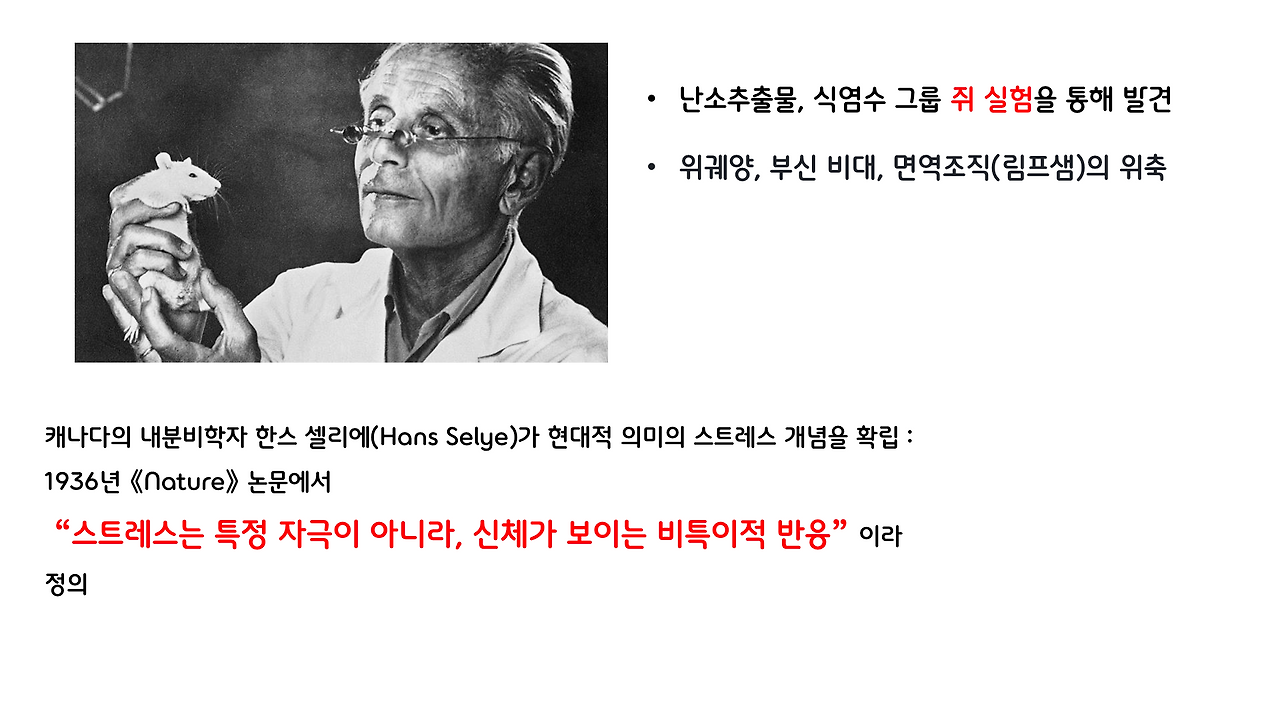 1편_스트레스 _2.png