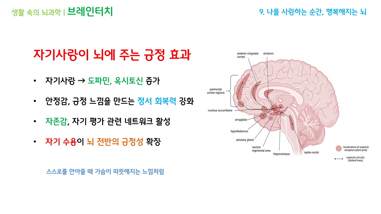브레인터치_3강(7-9)_브런치용_14.png
