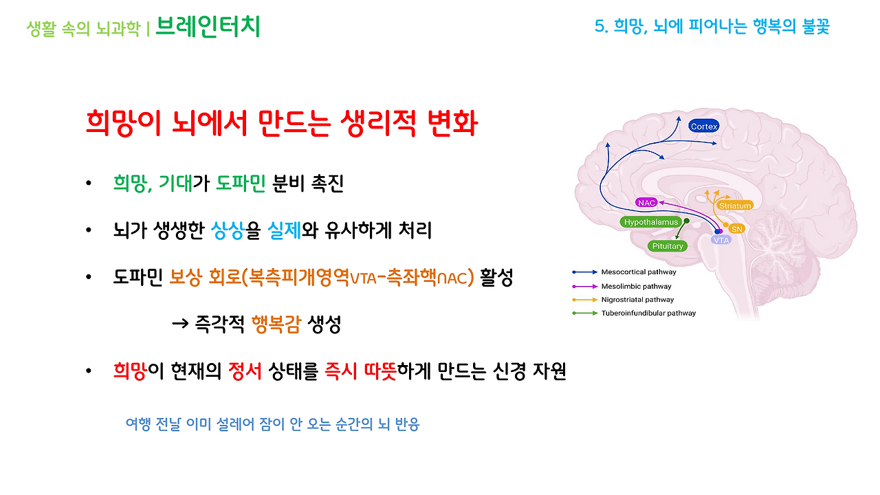 브레인터치_2강(4-6)_브런치용_8.png
