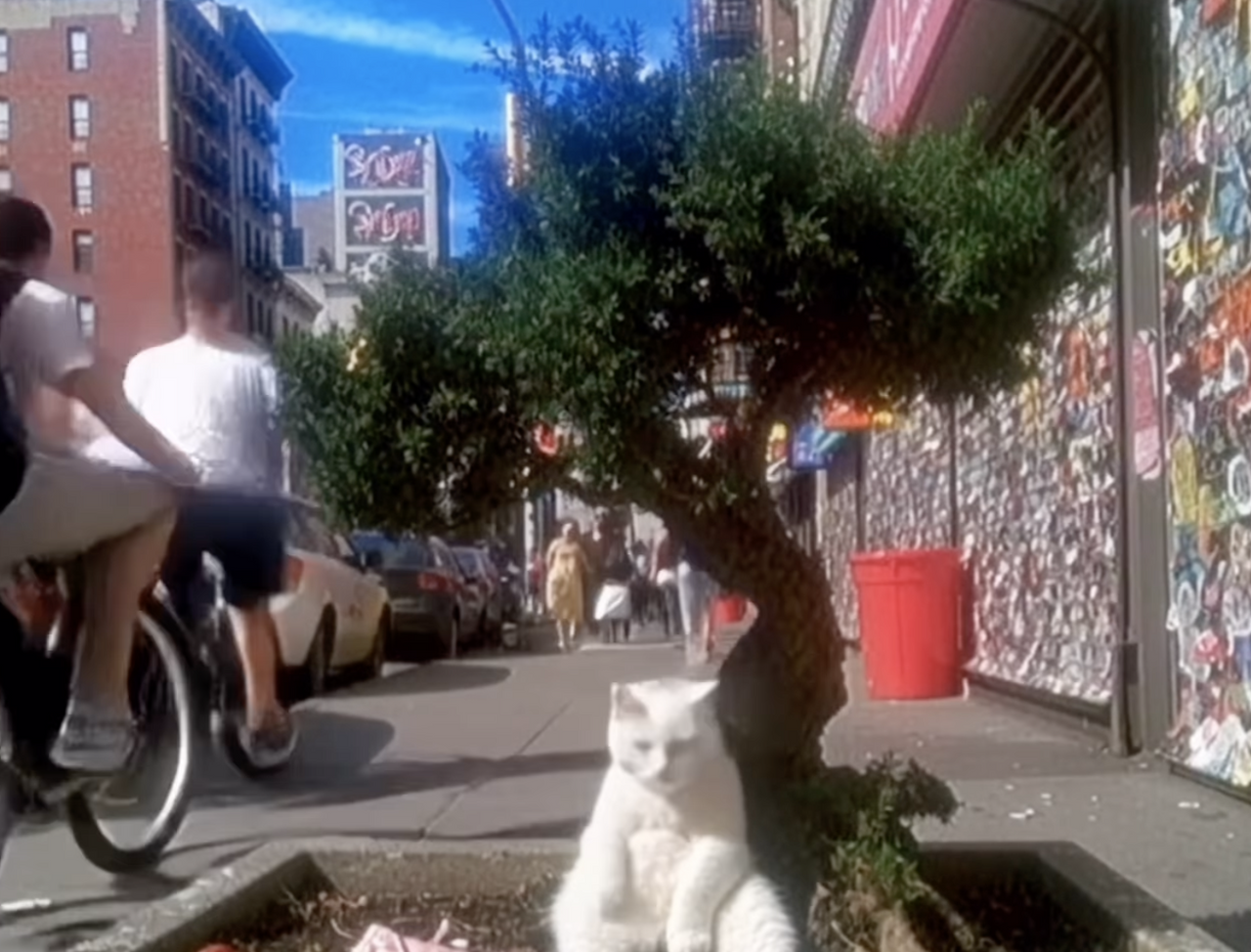 스크린샷 2025-11-23 오후 12.08.47.png