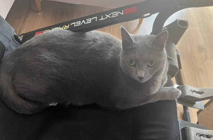 다운로드 (2).png