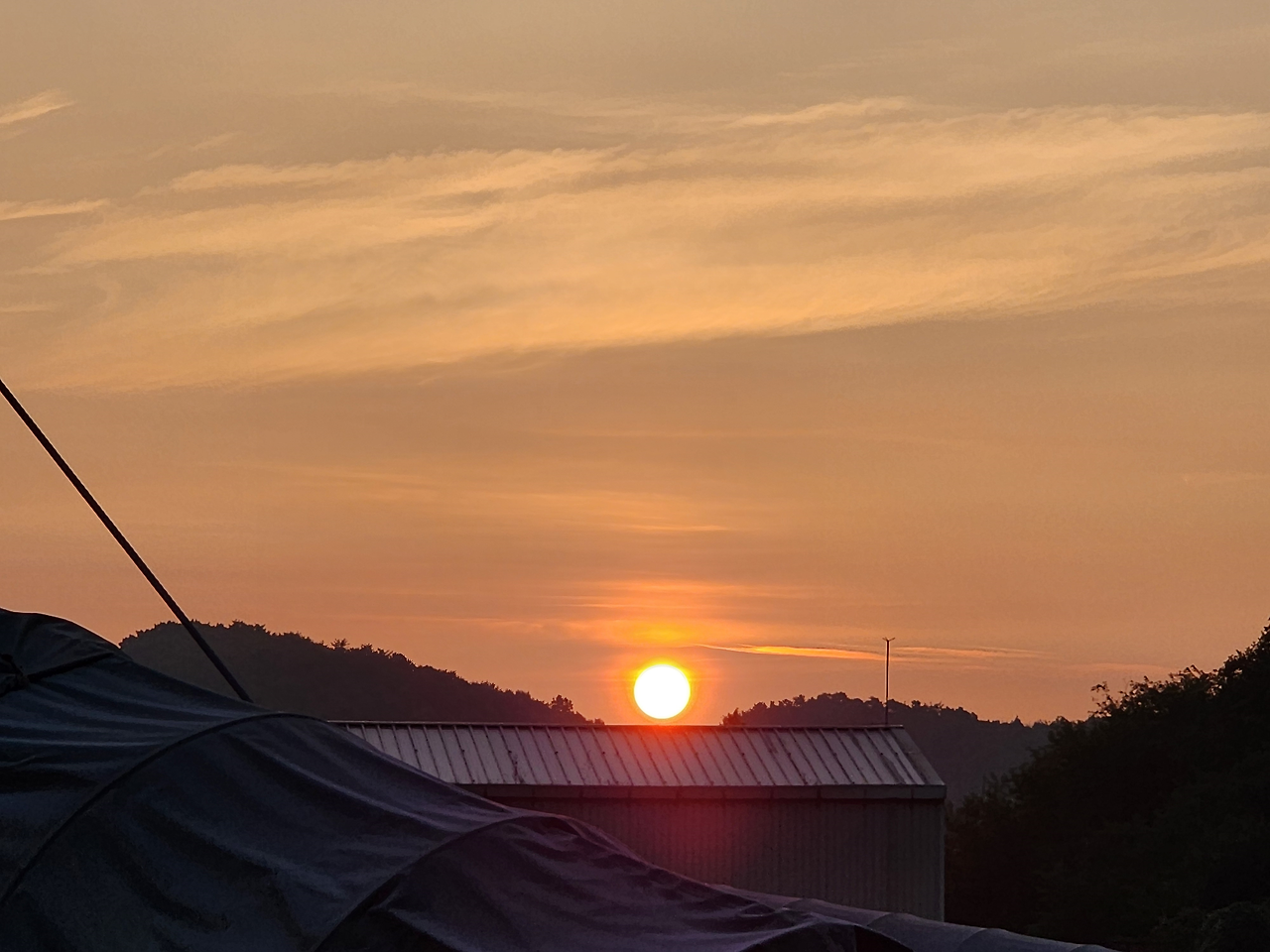 희망의 조짐 셋(일출).png