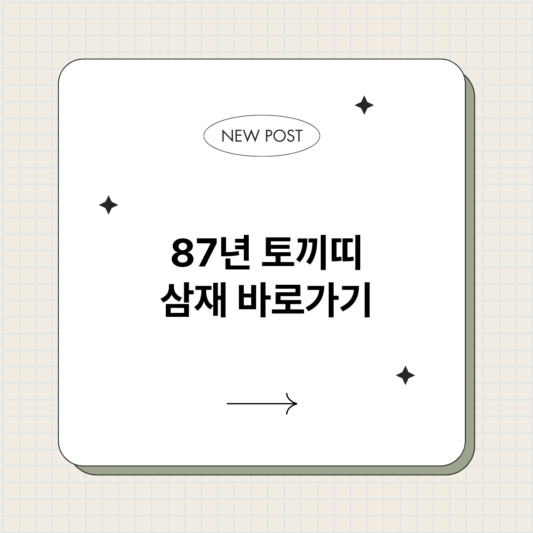87년토끼띠삼재_썸네일.png