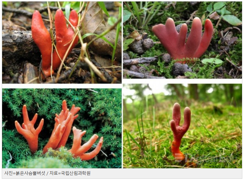 스크린샷 2025-11-27 132429.png