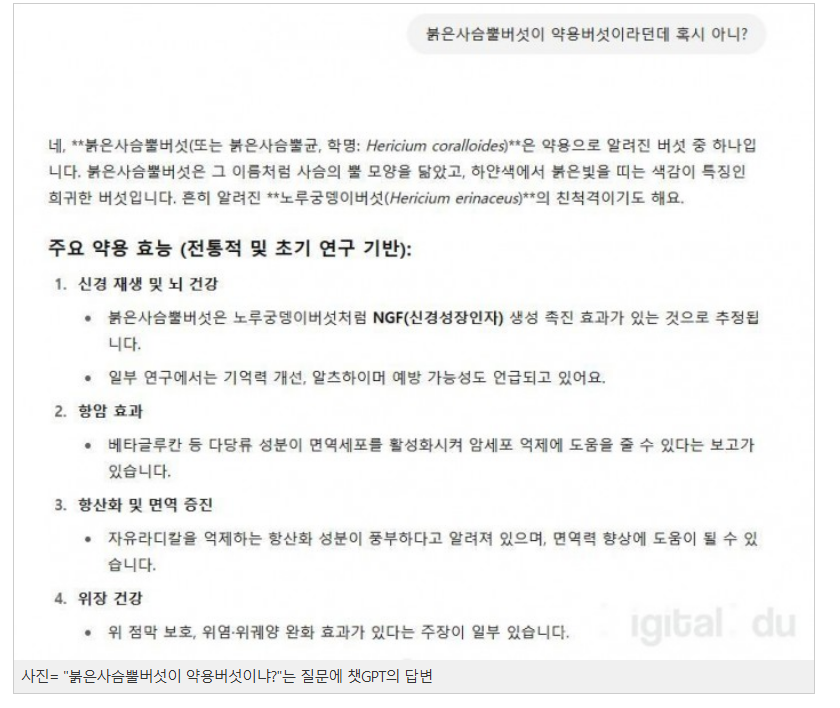 스크린샷 2025-11-27 132454.png