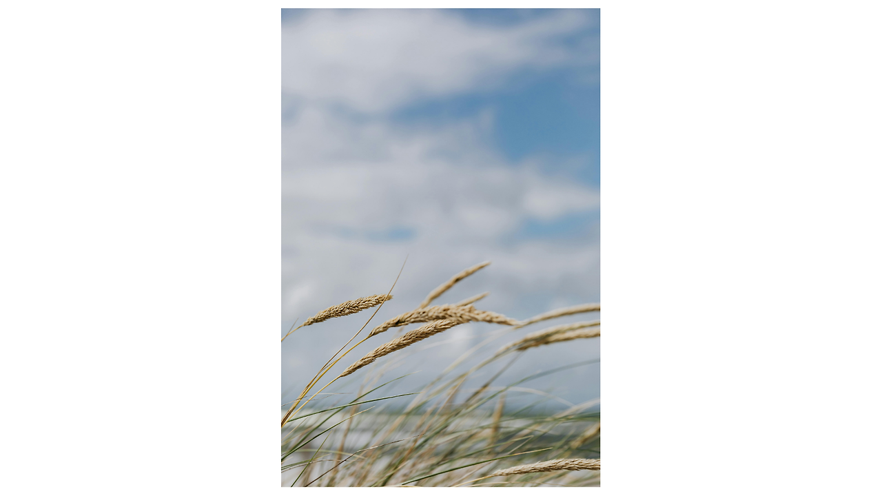 제목 없는 디자인.png