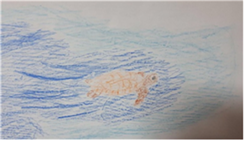 바다로 향하는 거북이.png