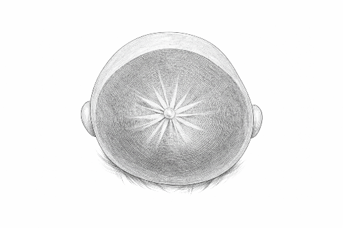 ChatGPT Image 2026년 1월 15일 오후 05_33_44.png