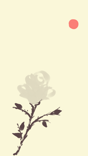 백장미_순수 순결 매력.png