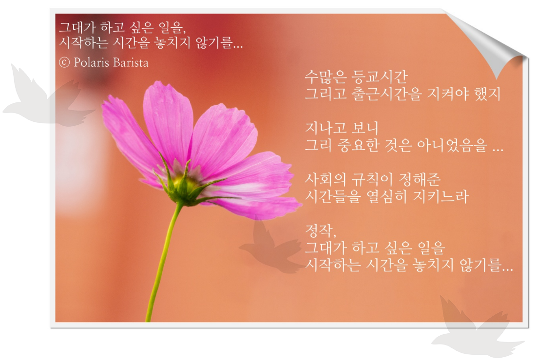 그대가 하고 싶은 일을.png