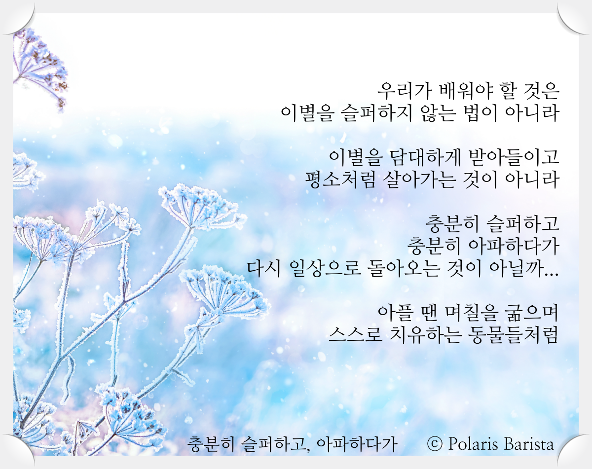 충분히 슬퍼하고 아파하다가.png