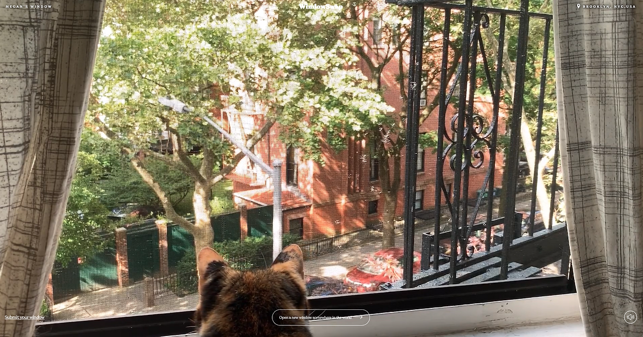 스크린샷 2020-09-13 오전 5.59.06.png