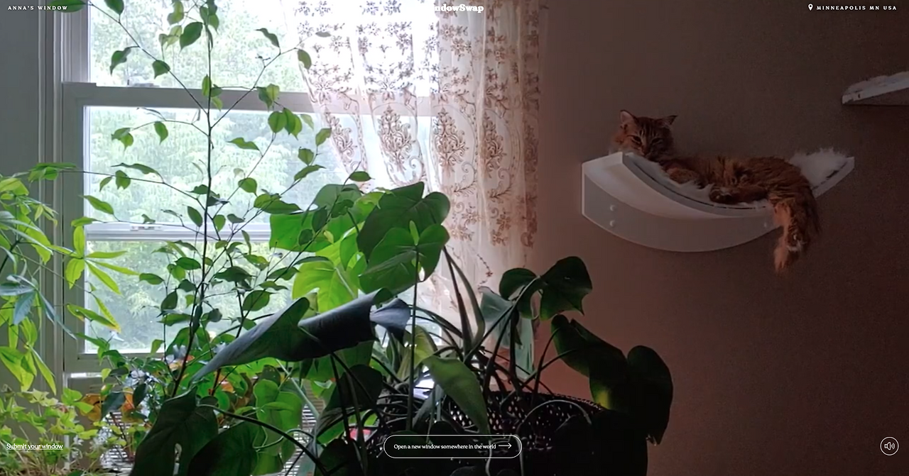 스크린샷 2020-09-13 오전 6.03.41.png