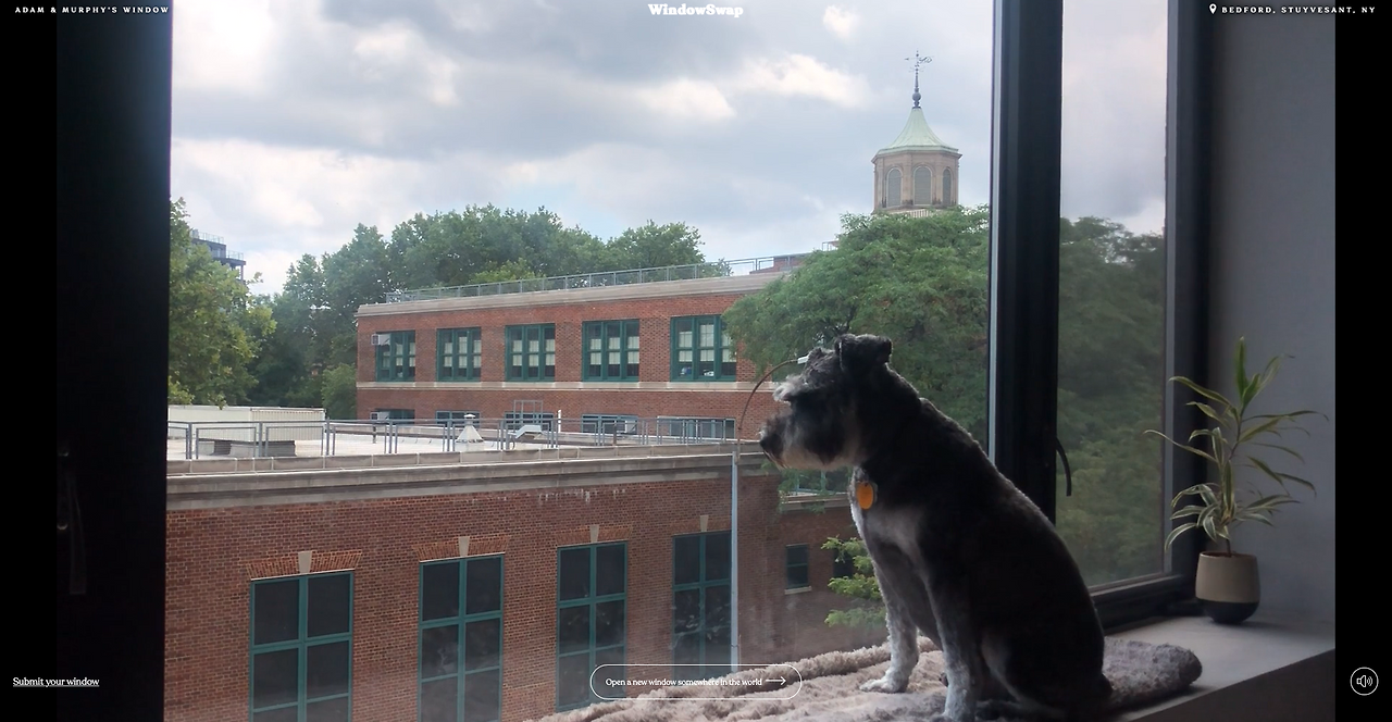 스크린샷 2020-09-13 오전 5.41.45.png