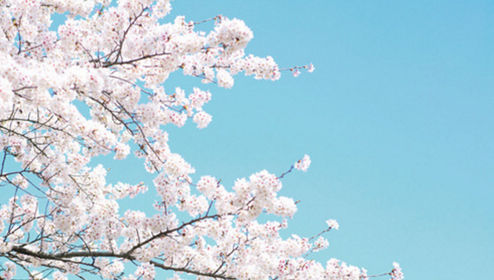 스크린샷 2016-05-06 오후 10.15.08.png