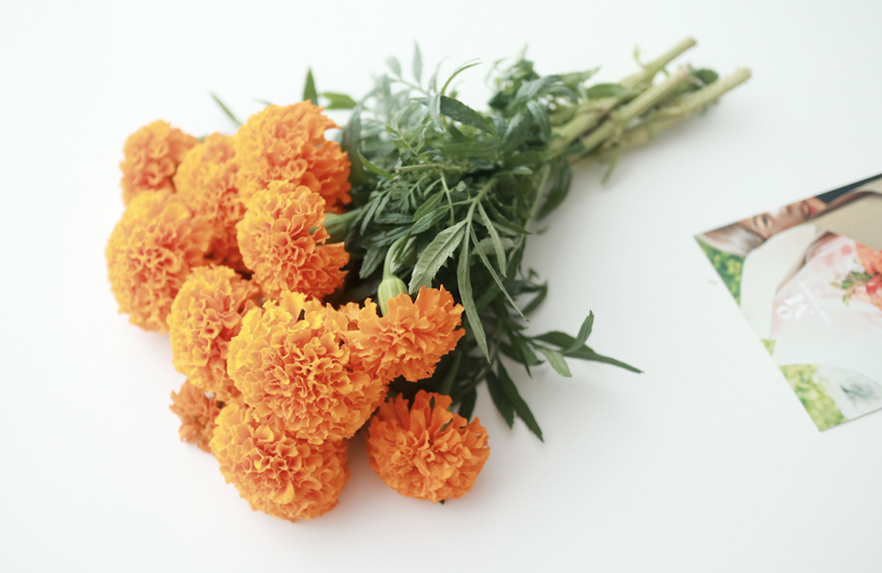 스크린샷 2021-08-13 오전 10.38.17.png