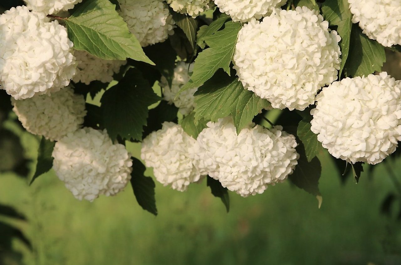 스크린샷 2021-08-12 오전 11.46.02.png