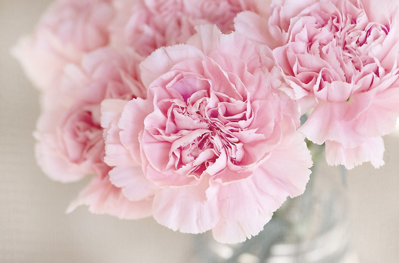 스크린샷 2021-08-18 오후 9.44.17.png