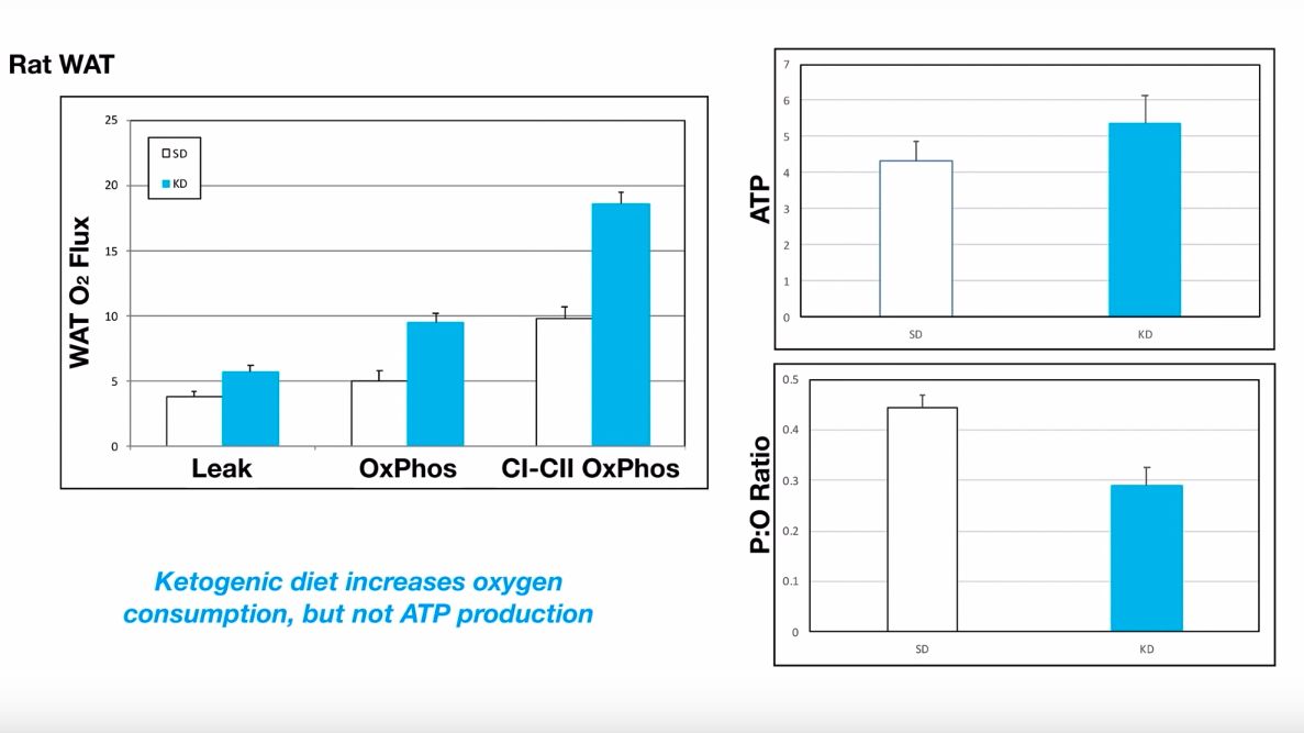 스크린샷 2019-07-23 오전 12.23.33.png