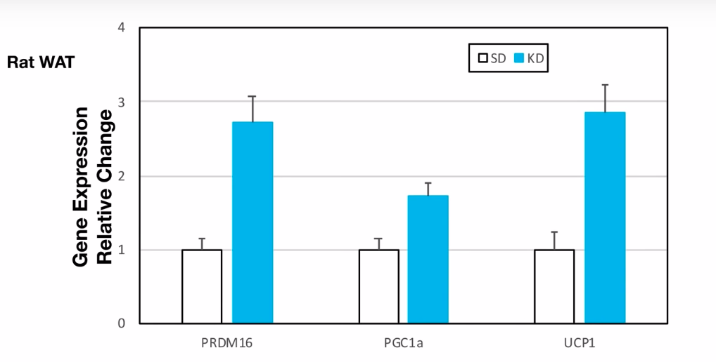스크린샷 2019-07-23 오전 12.24.10.png