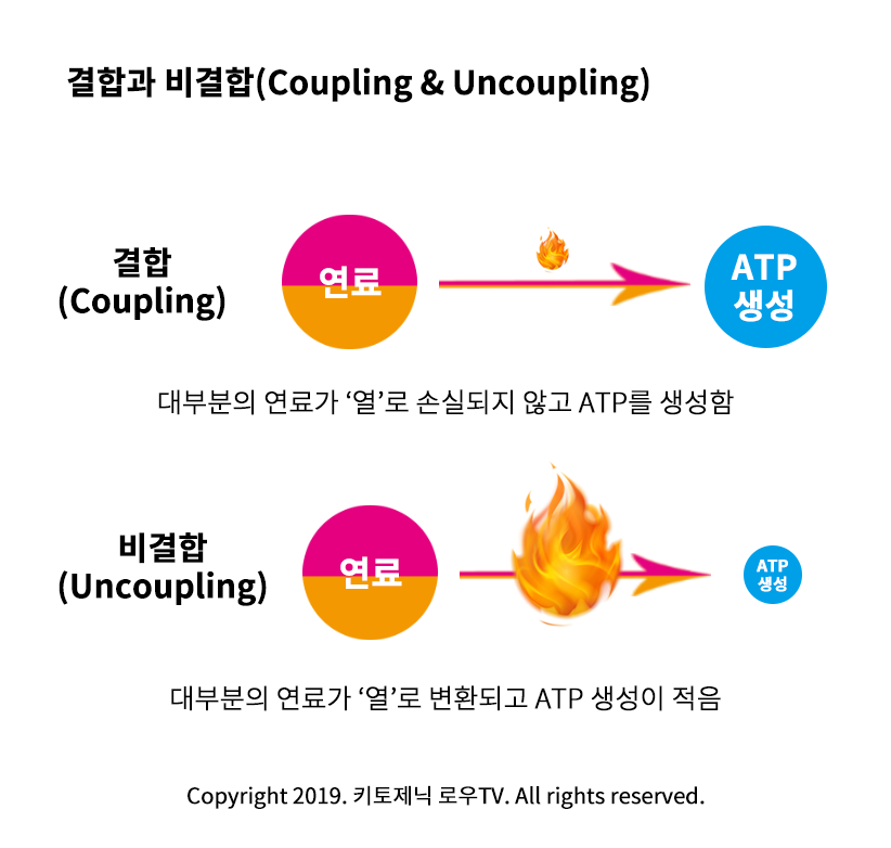 결합과 비결합.png