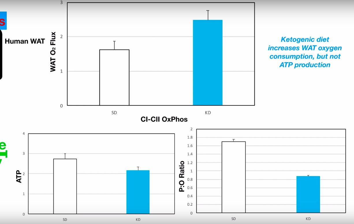 스크린샷 2019-07-23 오전 12.29.05.png