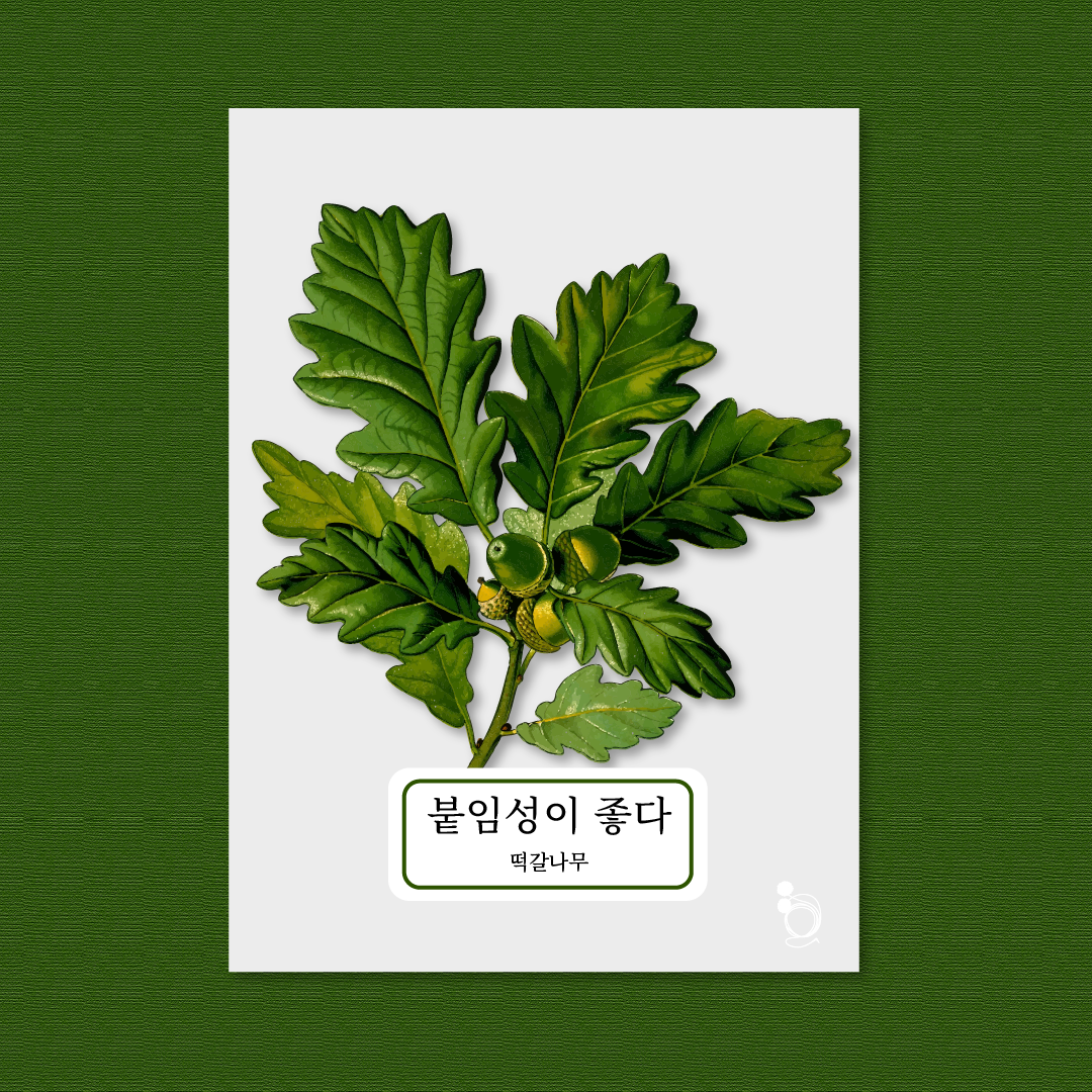 떡갈나무대지 1.png