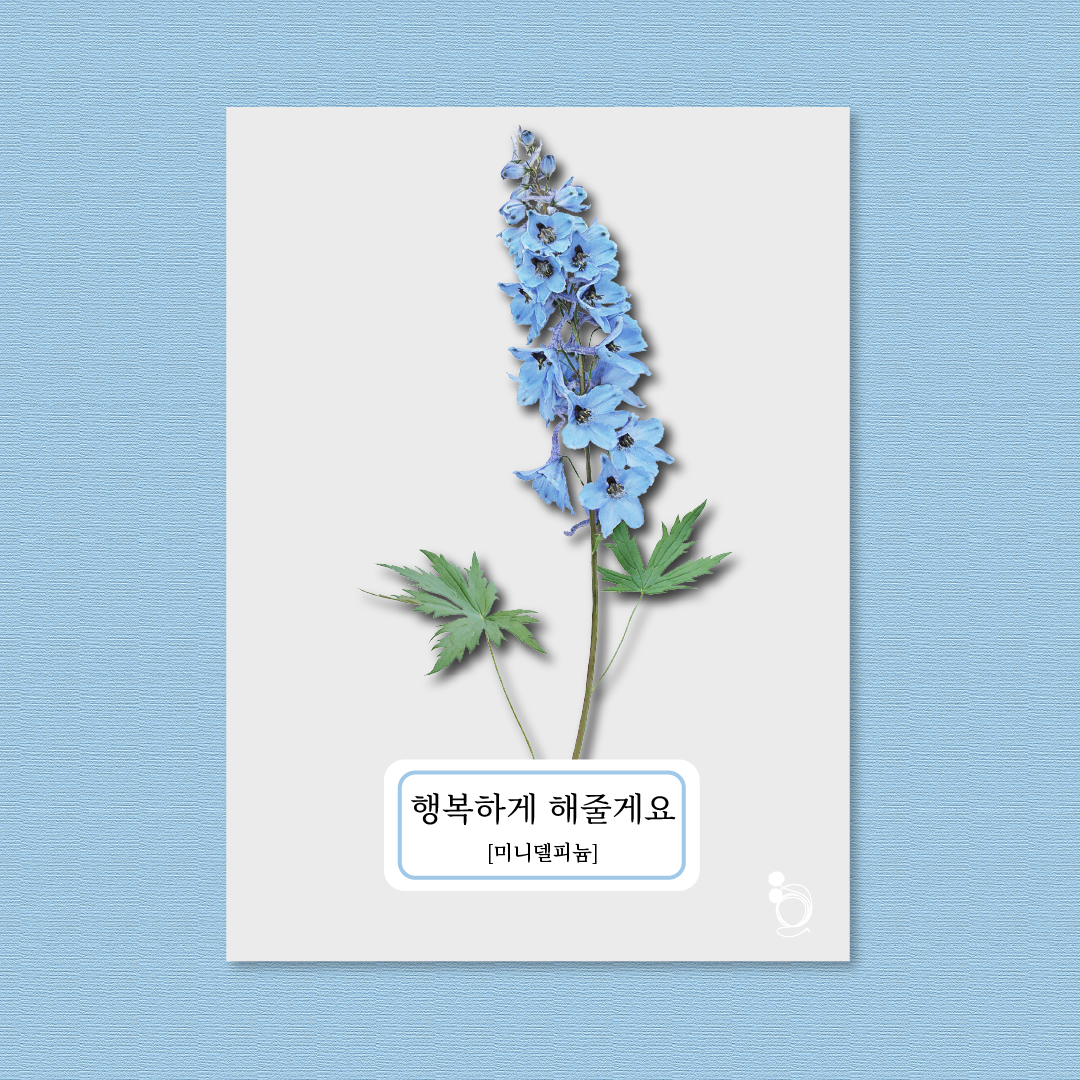 미니델피늄 카드카드1.png