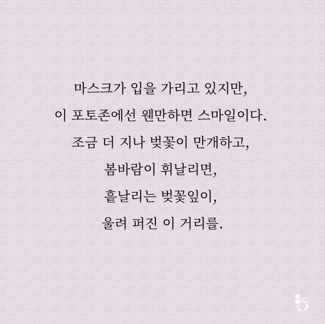 벚꽃 카드카드7.png