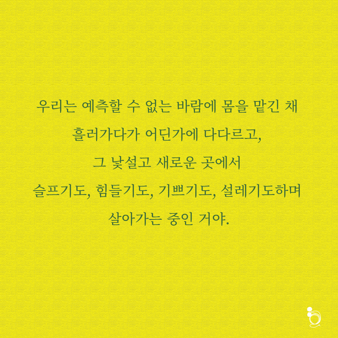 민들레 카드카드6.png