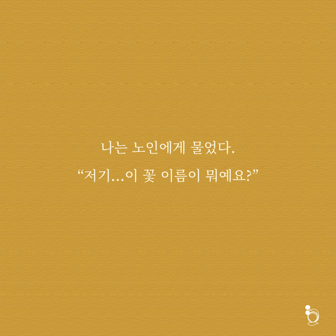 튜베로즈 카드카드5.png