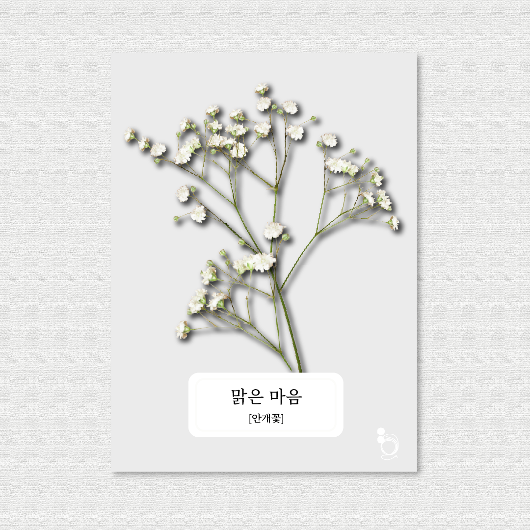 안개꽃 카드카드1.png