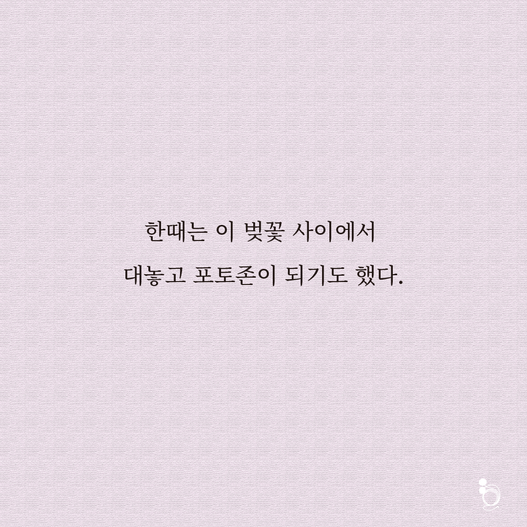 벚꽃 카드카드5.png
