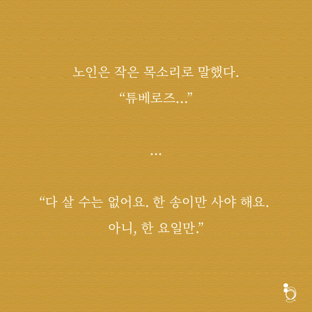 튜베로즈 카드카드6.png