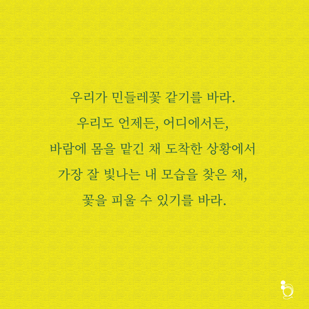 민들레 카드카드7.png