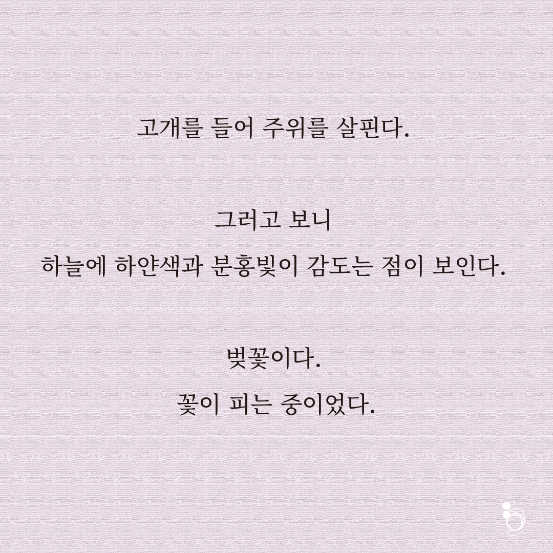 벚꽃 카드카드4.png