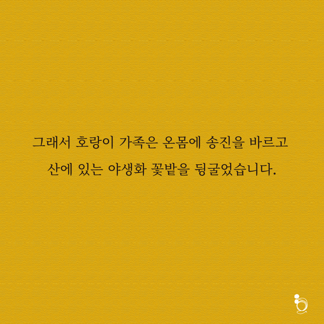 호랑이꽃 카드카드6.png