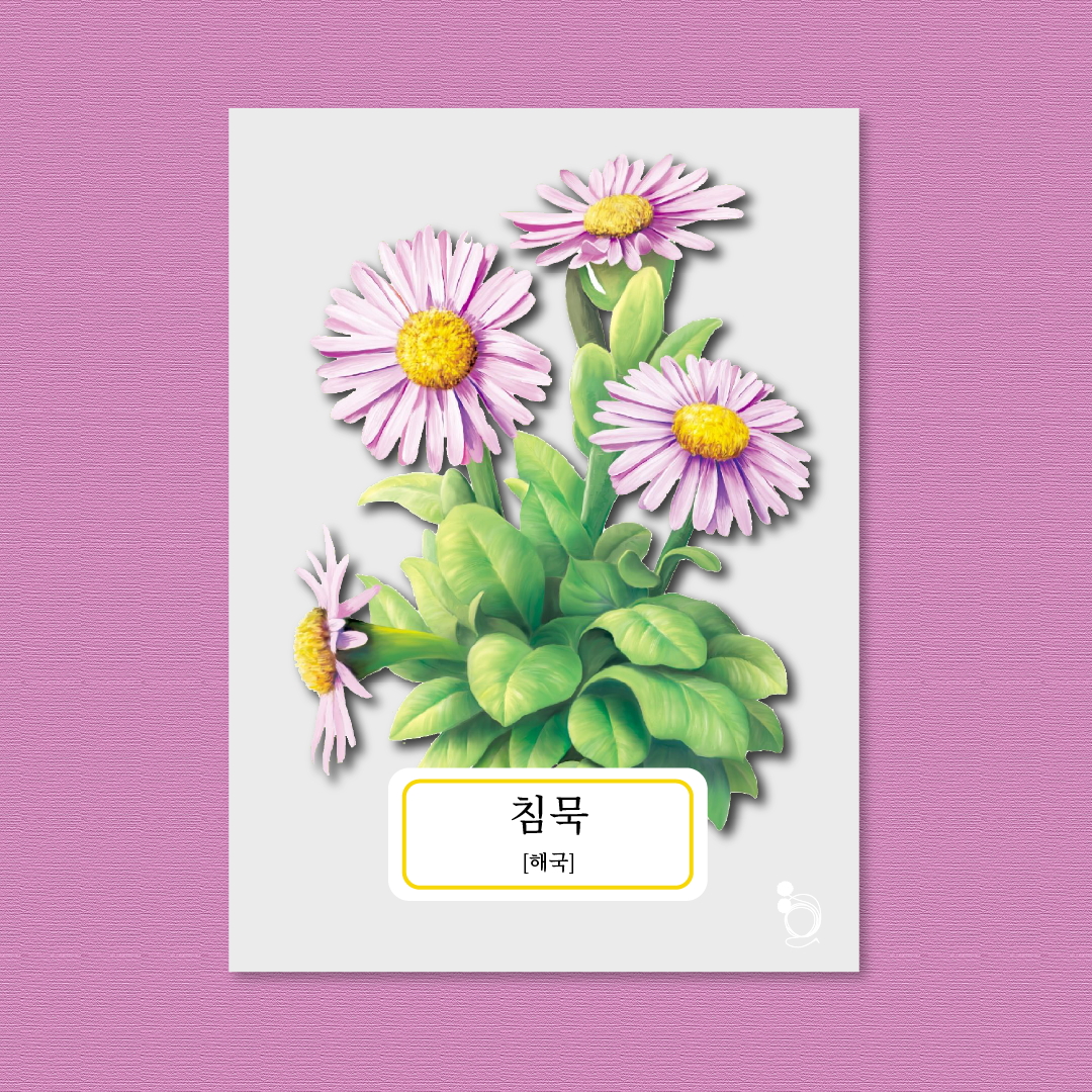 해국 카드카드1.png