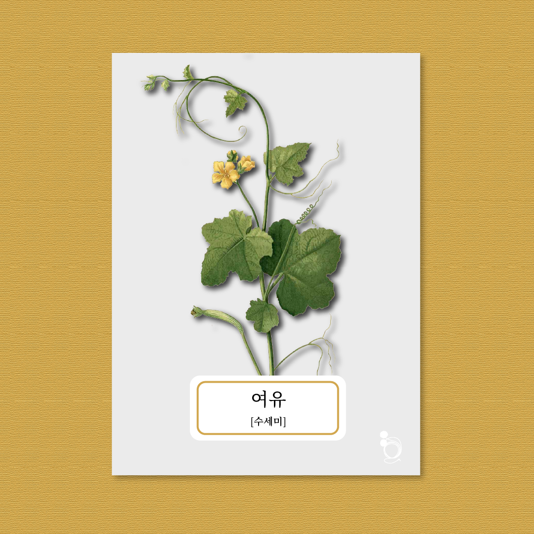 수세미 카드카드1.png