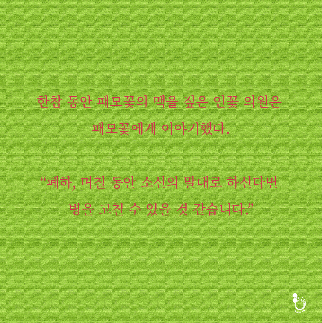 패모꽃 카드카드7.png