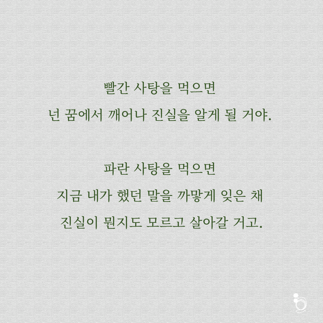 흰색양귀비 카드대지 2.png