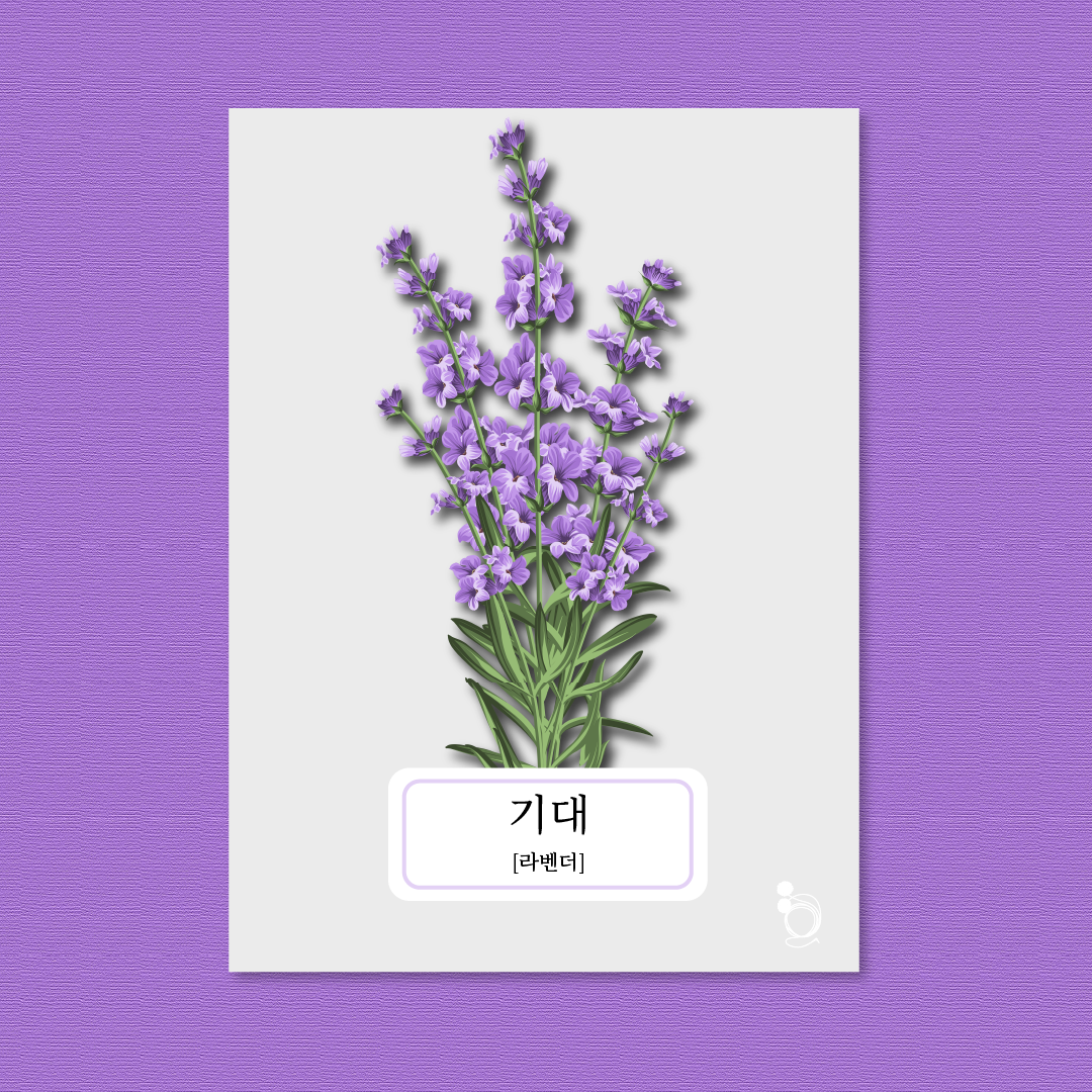라벤더 카드카드1.png