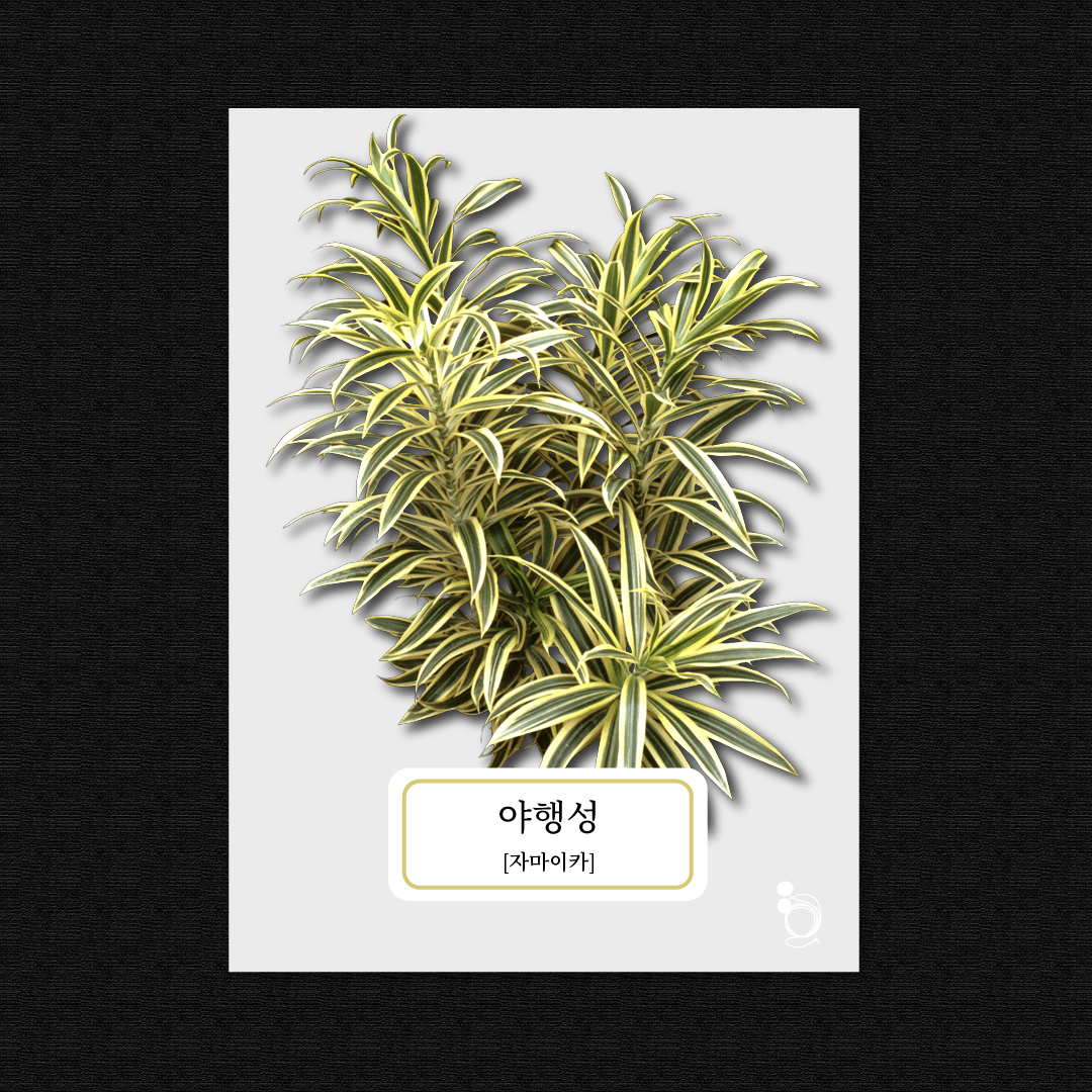 자마이카 카드카드01.png