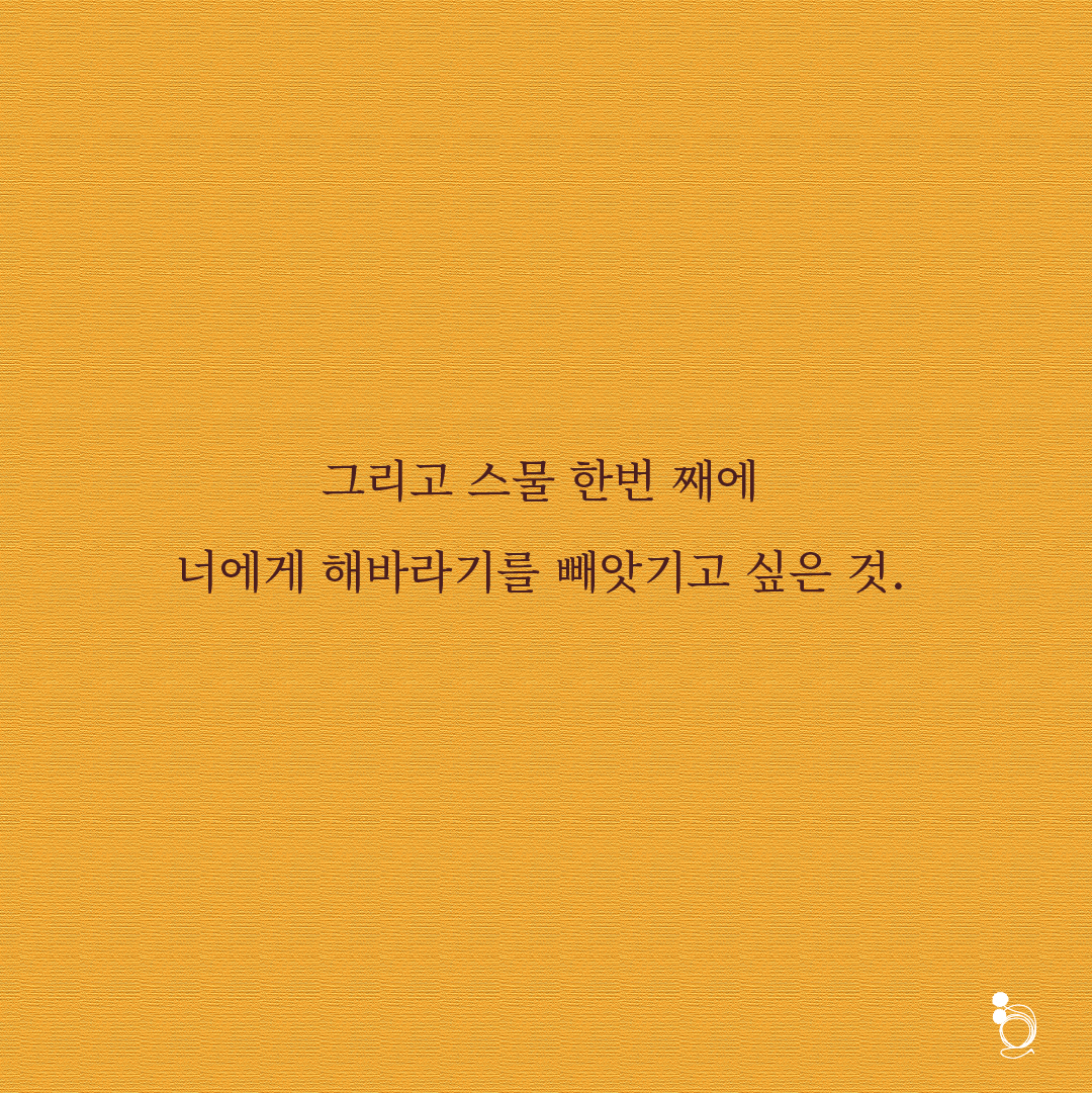 해바라기 카드카드8.png