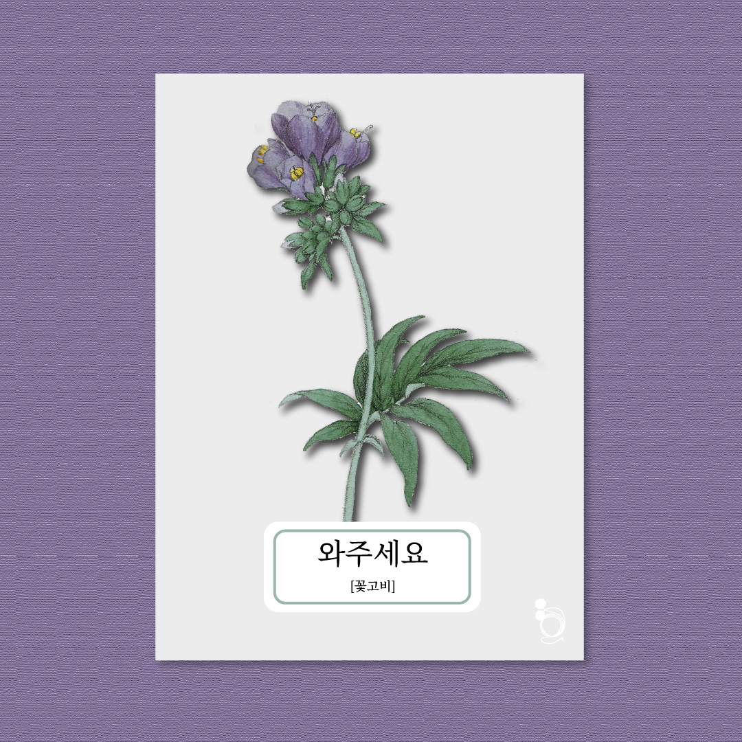 꽃고비 카드대지 1.png